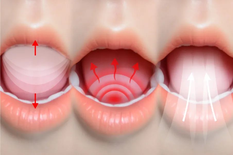 3in1(licking, heating, sucking)